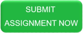 submit assignment now