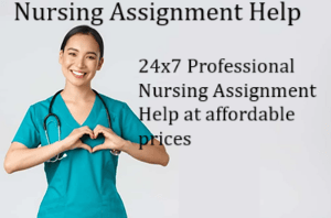 Nursing Assignment Help